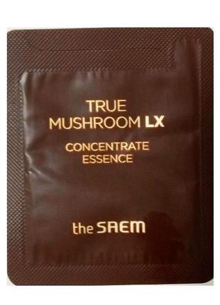 The saem true mushroom lx concentrate essence ліфтинг есенція з грибним комплексом
