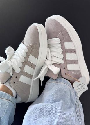 Кроссовки adidas campus beige/white