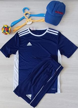 Спортивные шорты и футболка adidas