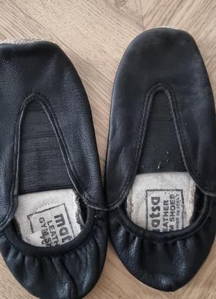 Шкіряні чешки