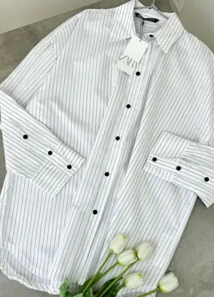 Zara 🔥 рубашка полоска коттон натуральная s, m