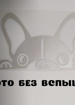 Наклейка на авто собака світловідбиваюча тюнінг авто