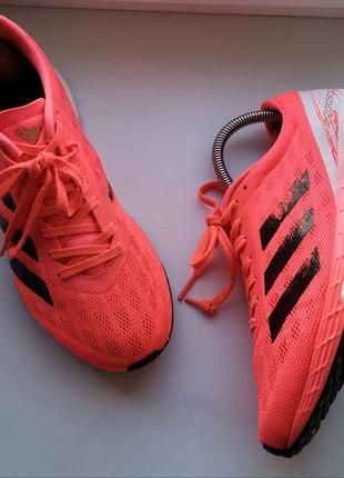 Жіночі ніжні легенькі бігові кросівки   adidas adizero boston 9