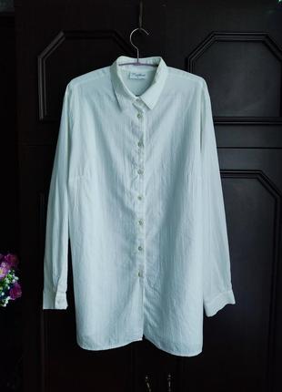 Сорочка подовжена біла батал, блуза, рубашка довга