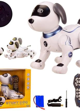 Робот-собака р/к батар k16 (6 шт.) світло,звук, у коробці 27*17.5*29 см, р-р іграшки — 29*13.5*26 см