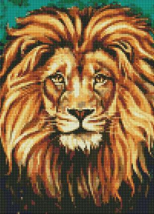 Алмазна мозаїка "розкішний лев" ідейка amo7505 40х40 см