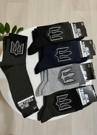 Шкарпетки чоловічі 12 пар демісезоні з бавовни тм "віатекс" розмір 25 (38-40) шеврон