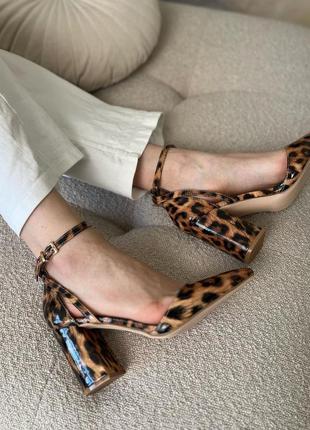 Леопардові лаковані туфлі