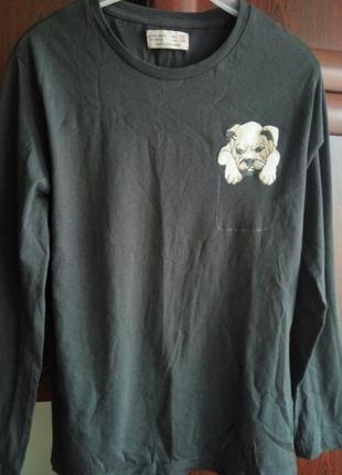 Хлопковый реглан зара кофта футболка принт собачка от zara