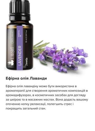 Эфирное масло лавандины