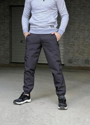 Чоловічі штани softshell basic в сірому кольорі |