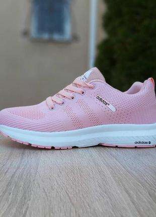 Жіночі кросівки | adidas neo | рожеві на білій | текстиль | маломірні, :36