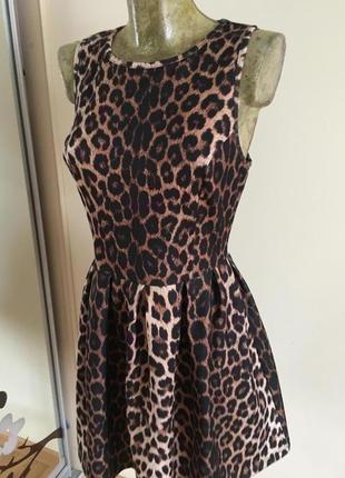Красива леопардова сукня topshop