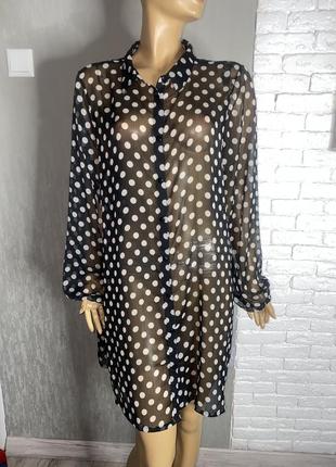 Удлиненная полупрозрачная блуза большого размера блузка в горох батал papaya, xxxl 56р