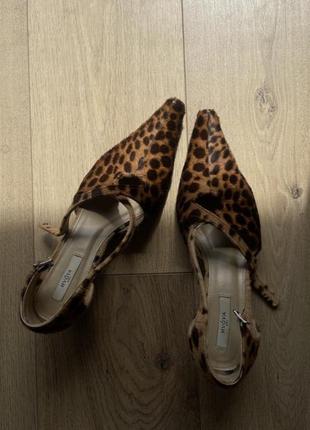 Леопардовые туфли hvoya