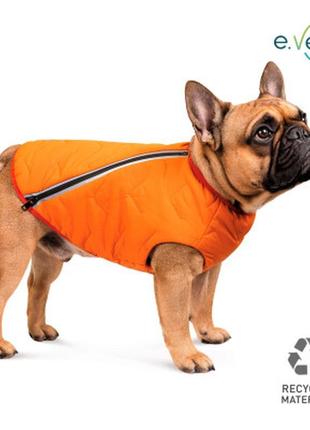 Жилет для животных pet fashion "e.vest" l оранжевый (4823082424337)