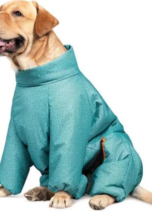 Комбинезон для животных pet fashion cold для такс s2 (бирюзовый) (4823082425389)