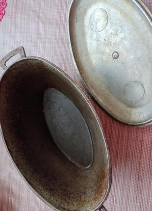 Качатниця, гусятниця