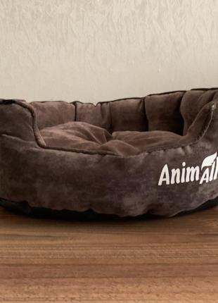 Лежанка велюр шоколадного цвета для собак котов съемной подушкой