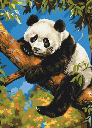 Картина за номерами лінива панда 40 х 50  brushme bs53982