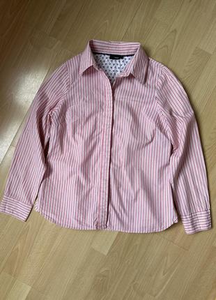 Бавовняна сорочка