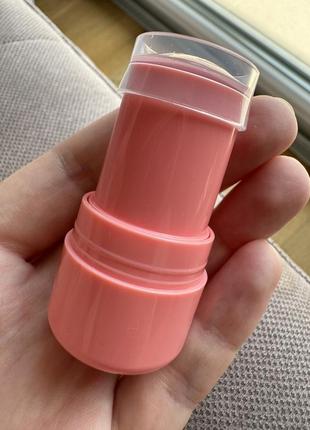 Нові рум’яна milk makeup cooling water jelly tint spritz