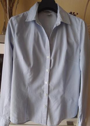 Стильная рубашка белая в голубую узкую полоску