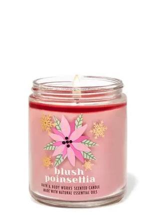 Ароматизированная свеча blush poinsettia bath and body works