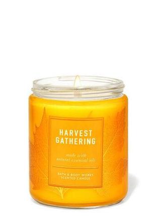 Ароматизированная свеча harvest gathering bath & body works