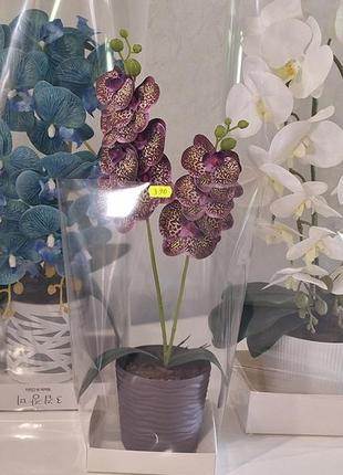 Подарунок для вчителя букет з мильних квітів орхідея з латексу