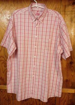 Рубашка мужская летняя vinci collection 43-44/xl, большой размер