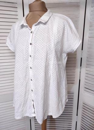Белая блузка/ футболка