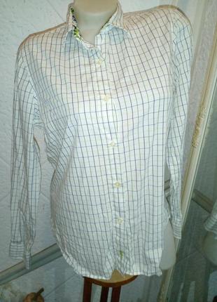 Жіноча симпатична сорочка блуза бавовна клітина лого