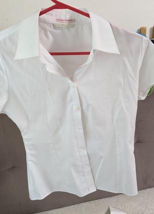 Летняя блузка/рубашка на короткий рукав