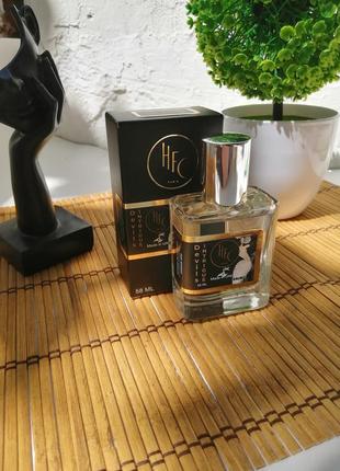 Haute fragrance company hfc devil's intrigue