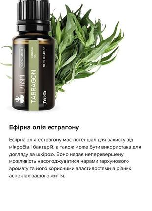 Эфирное масло эстрагона