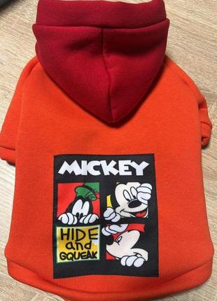 Худи orange smile mickey для вашего хвостика трикотаж на флисе оранжевый s/m