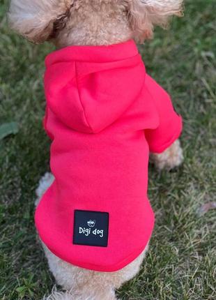 Худи pink digi dog  для вашего хвостика трикотаж на флисе розовый xxs