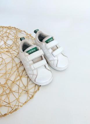 Кроссовки adidas6 фото