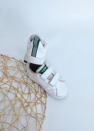 Кроссовки adidas5 фото