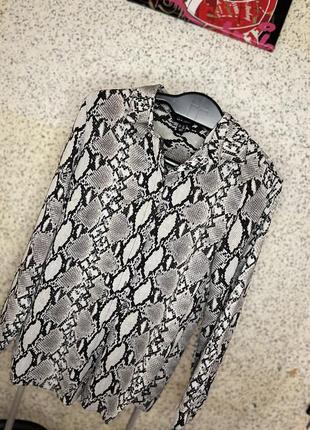 Рубашка со змеиным принтом