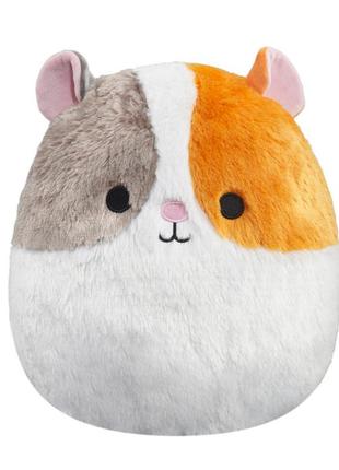 М'яка іграшка squishmallows морська свинка еверетт 30 см (sqcr00339)