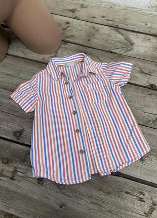 Бавовняна рубашка у смужку для хлопчика 12-18 місяців primark