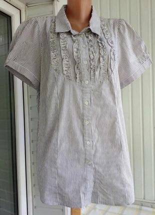 Коттоновая блуза большого размера батал