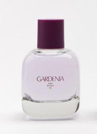 Zara gardenia (розпаковка з набору)
