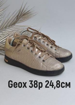 Легкие кожаные кроссовки женские geox