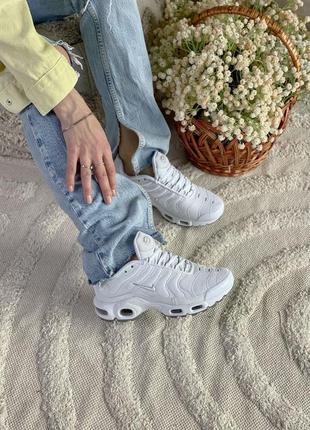 Кросівки nike air max tn plus