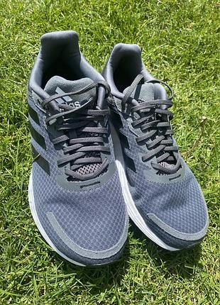 Кросівки кросовки adidas