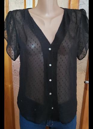 Жіноча прозора блуза блузка на гудзиках