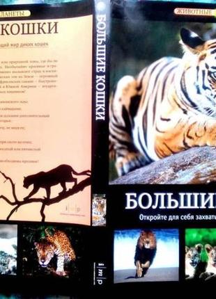 Животные планеты: большие кошки.  animals of the world: big cats.    изд. и.м.п.2010 г.-192 с.илл.